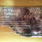 Dog Training and Behavioral Modification In Gainesville